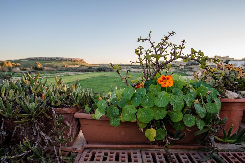Villayana Holiday Home San Lawrenz Zimmer foto
